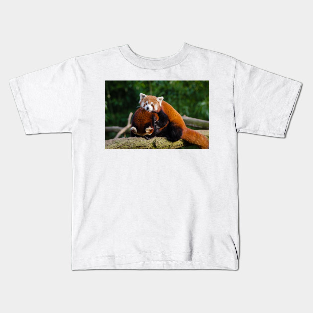 Red Panda